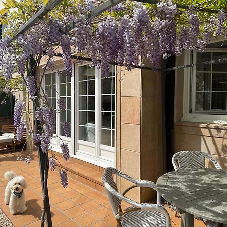 Bakea Apto Con Jardin Privado Bakio Esterno foto